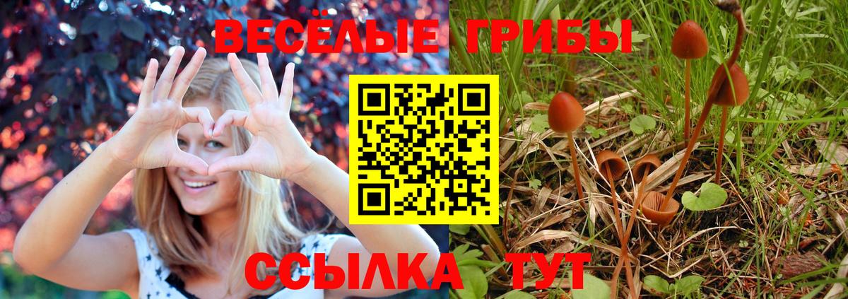 Псилоцибиновые грибы мухоморы  Вход с VPN  Еманжелинск  где можно купить   Псилоцибиновые грибы Psilocybine cubensis 